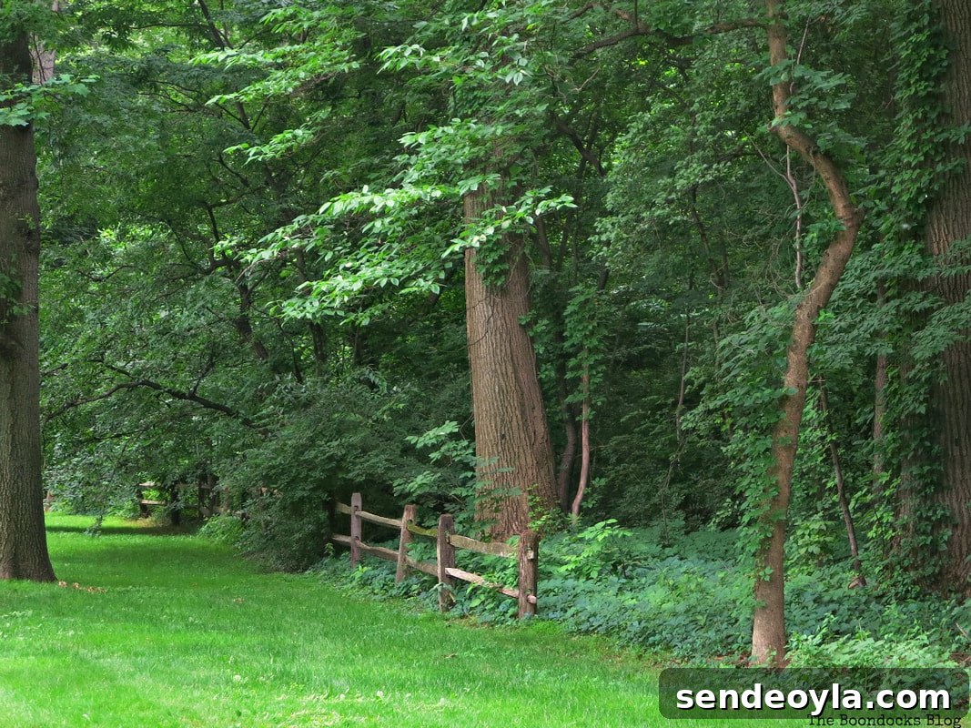 Picturesque scene, The Greatest Botanical Garden in the World