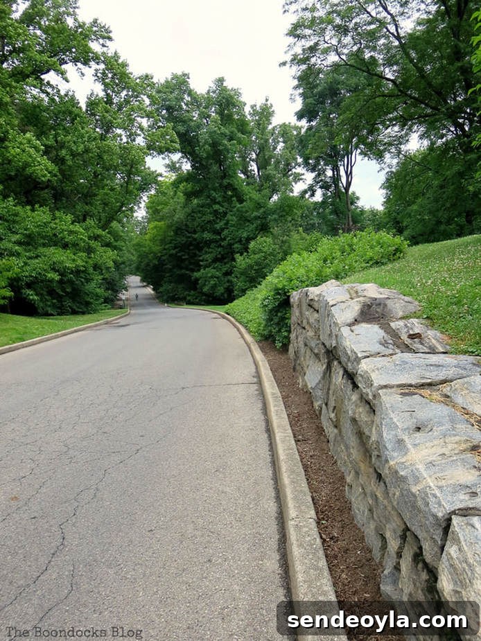 long and winding road, The Greatest Botanical Garden in the World