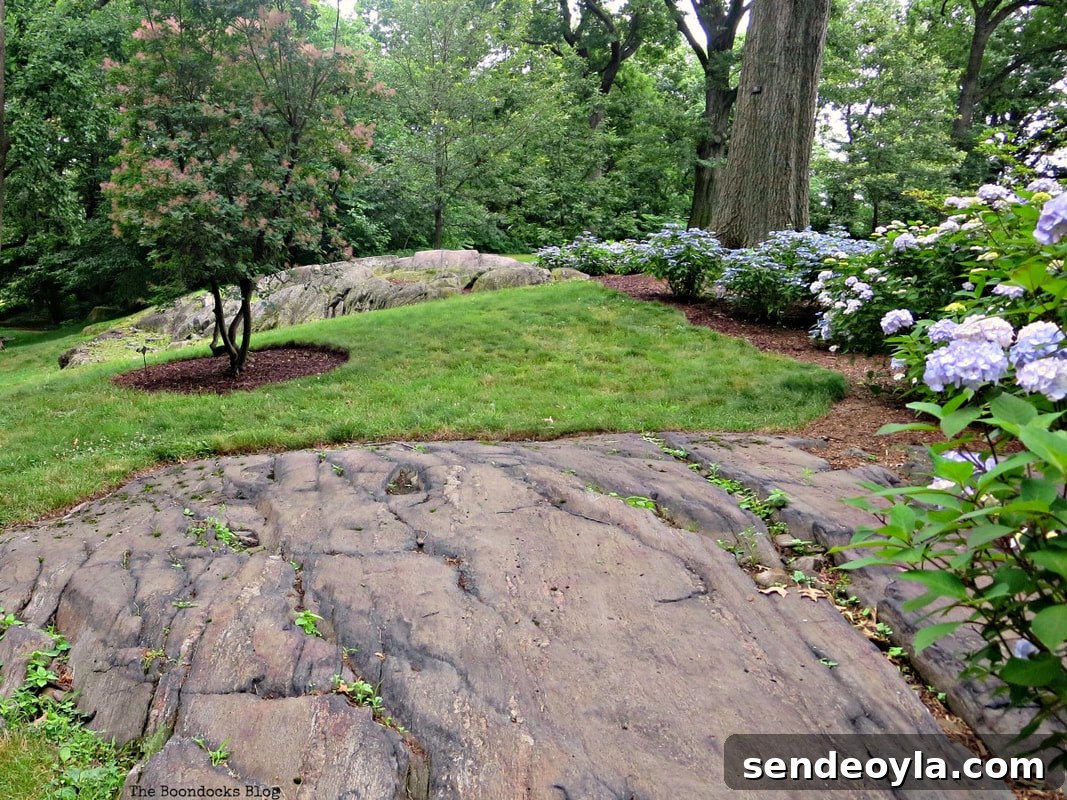 rocky landscape, The Greatest Botanical Garden in the World