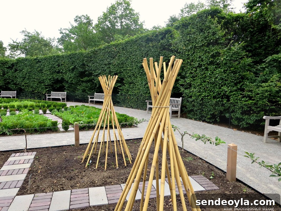 Vegetable garden, The Greatest Botanical Garden in the World