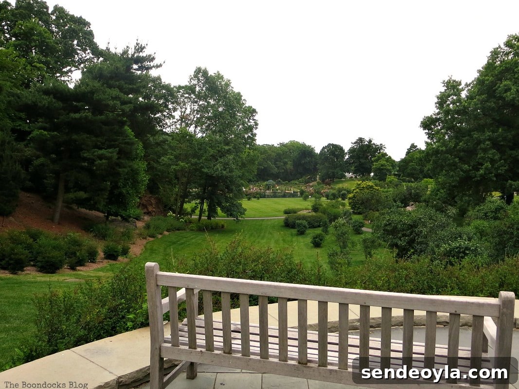 Looking towards the rose garden, The Greatest Botanical Garden in the World