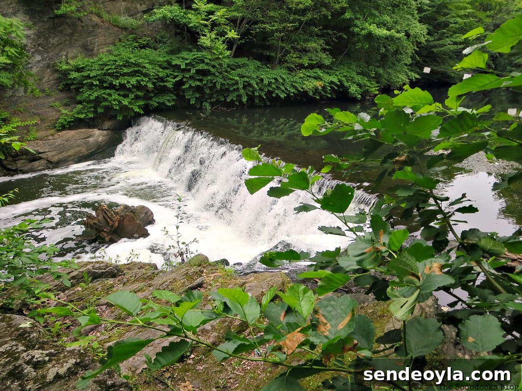 waterfall, The Greatest Botanical Garden in the World