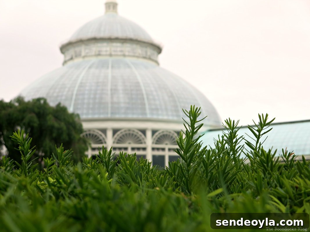 Dome of the Haupt Conservatory, The Greatest Botanical Garden in the World