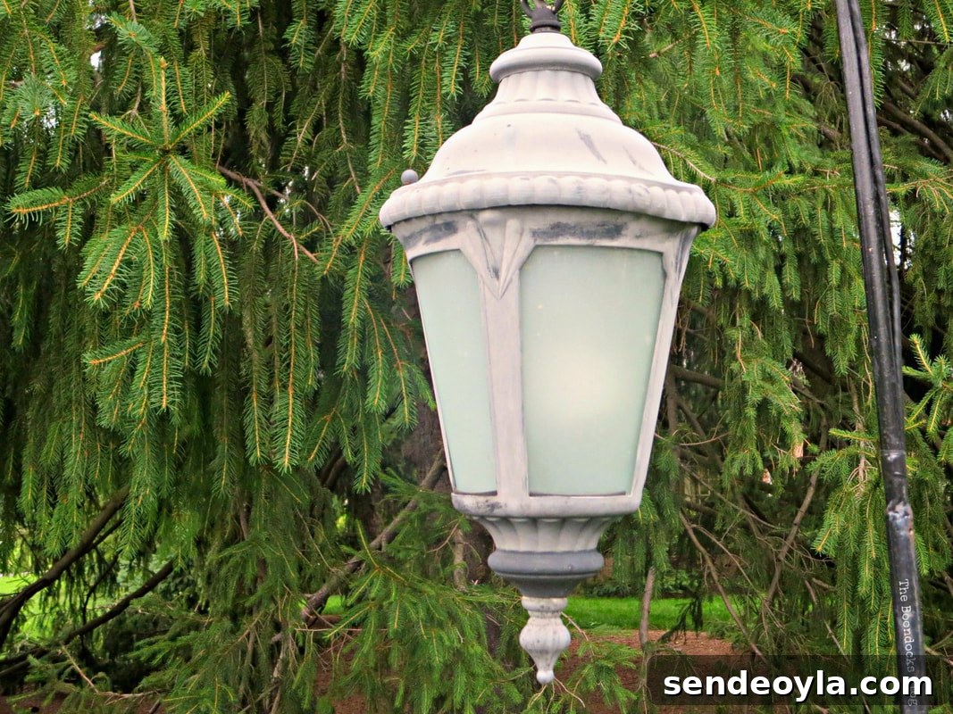 Street lamp, The Greatest Botanical Garden in the World