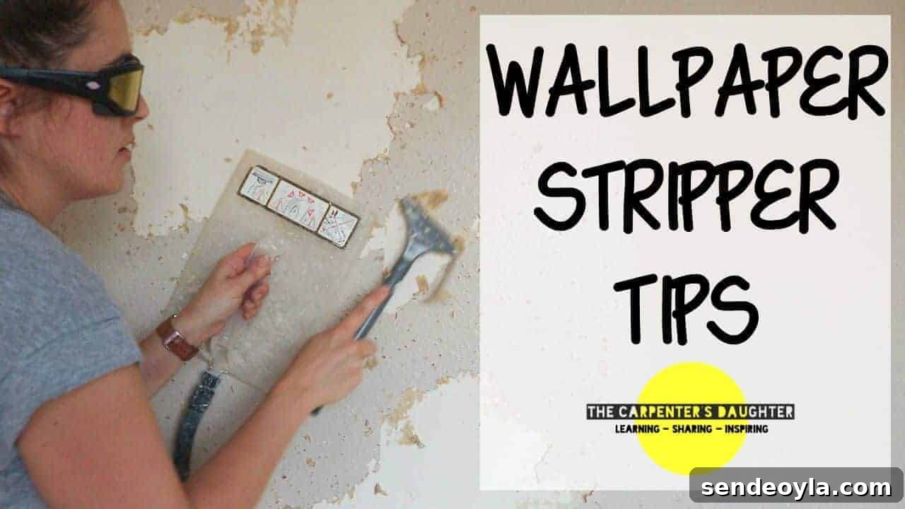 How to Use a Wallpaper Stripper to Remove Old Wallpaper 15 My Top 10 Wallpaper Stripper Tips