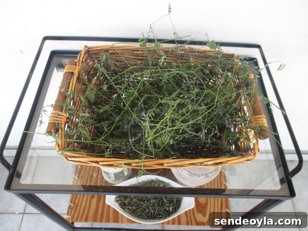 Glass shelf, A rusty old Table Revived www.theboondocksblog.com