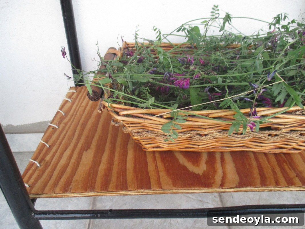 Twine to hold the plywood shelf, A rusty old Table Revived www.theboondocksblog.com