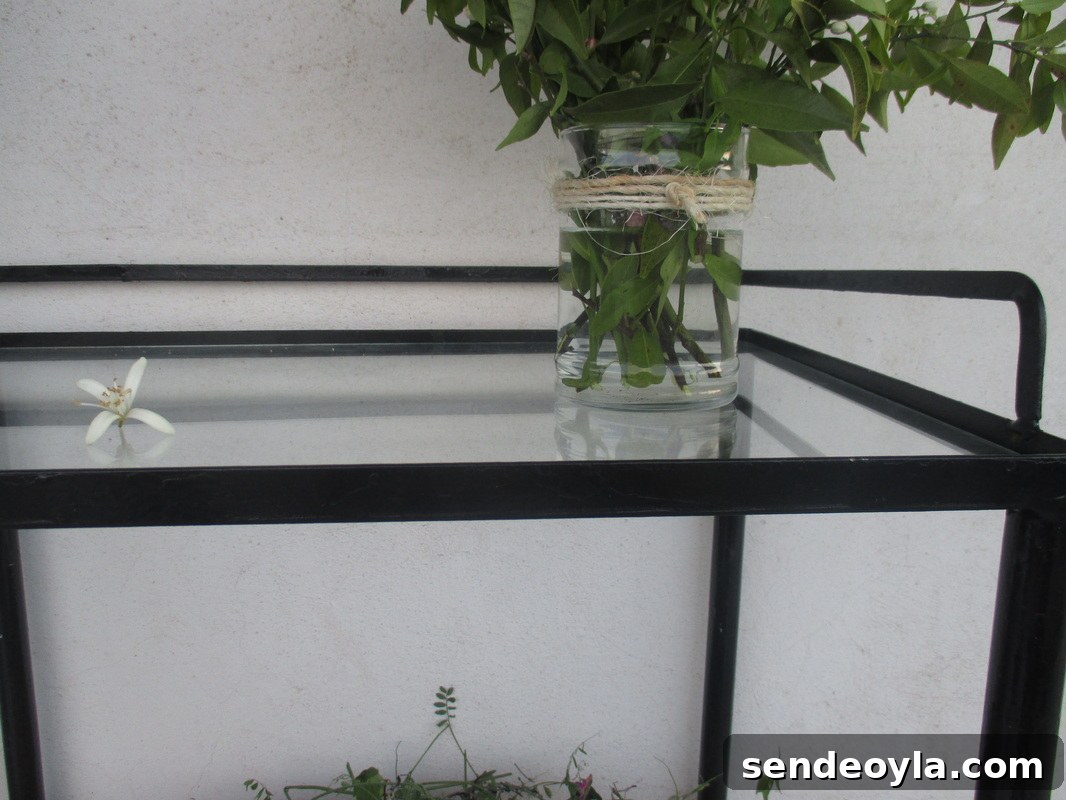 Adding the glass top, A rusty old Table Revived www.theboondocksblog.com