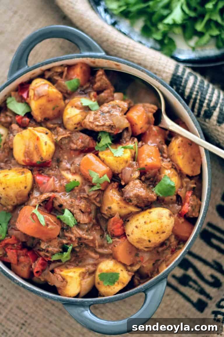 DIY Food Photography and Video: Essential Gear and Tips 8 Coffee bean hessian sack backdrop with Slimming World beef stew