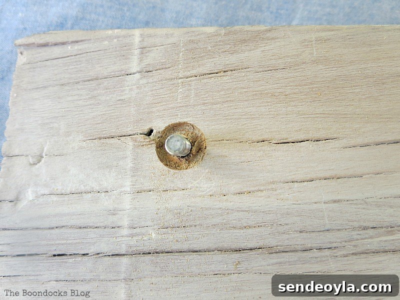 Coastal Wall Art Made from Repurposed Beach Finds 11 Holes drilled into plywood to attach knobs