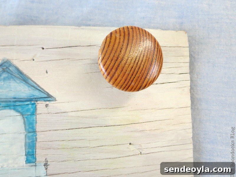 Coastal Wall Art Made from Repurposed Beach Finds 12 Knob attached to plywood before painting