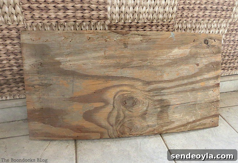 Coastal Wall Art Made from Repurposed Beach Finds 3 Rough piece of plywood for DIY beach art