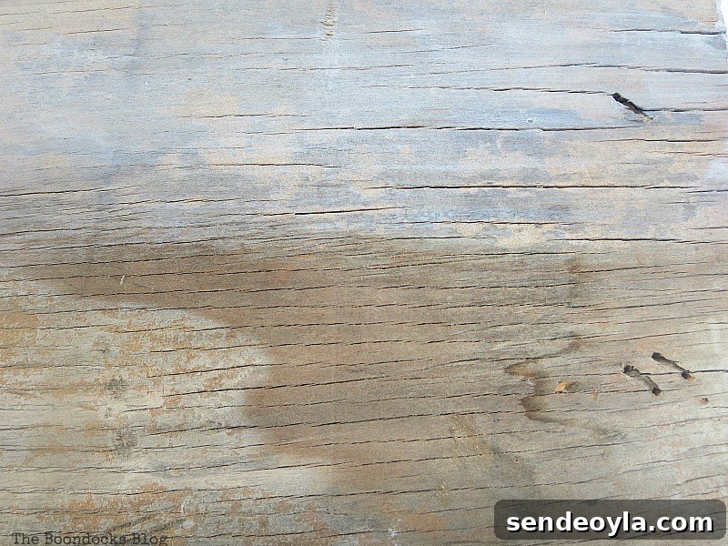Coastal Wall Art Made from Repurposed Beach Finds 4 Whitewashing plywood to create a beachy background