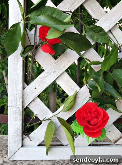 Zone 7 Late Spring Flower Tour: Blooming Garden Highlights 30 Adding flowers to a trellis