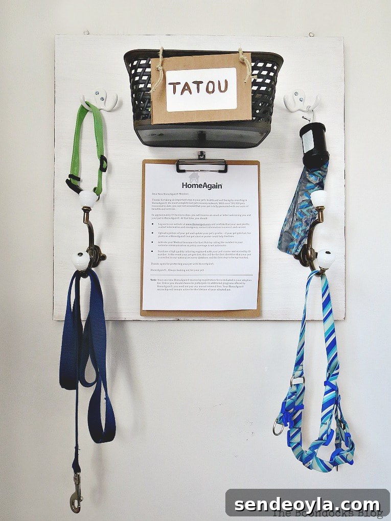 Command center ideas for keeping dog essential organized.