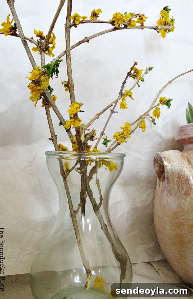 DIY Upcycled Planters from Household Items 9 Dried flower branches in a glass vase