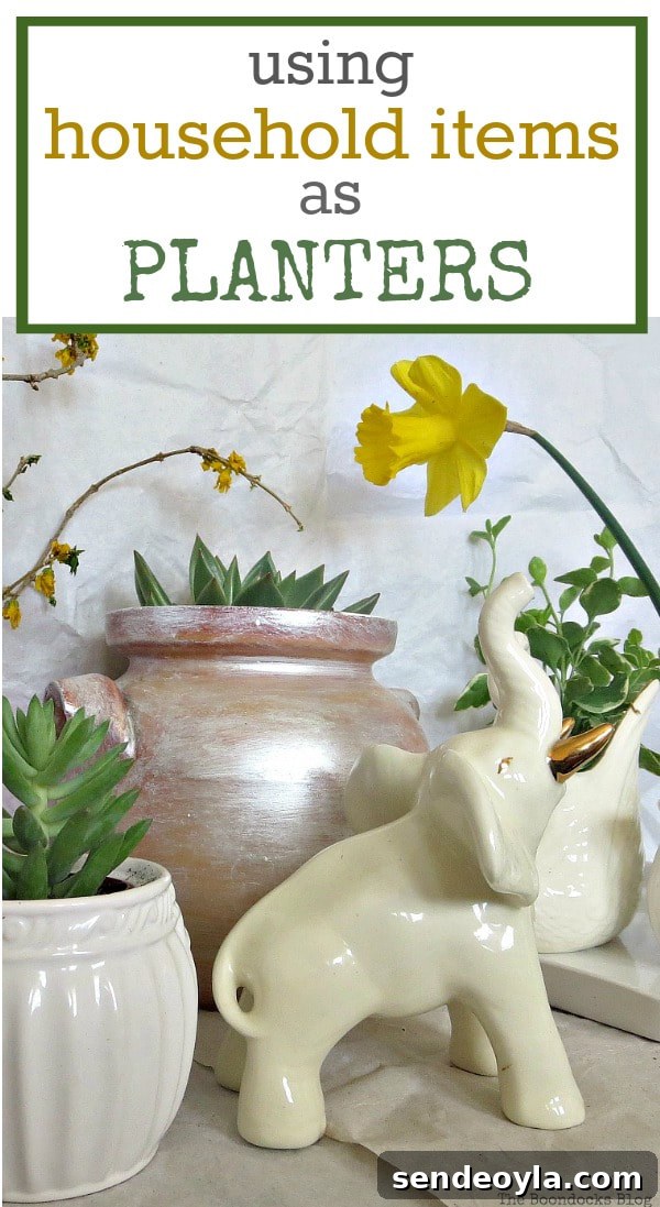 DIY Upcycled Planters from Household Items 11 A plant vignette created using household items as repurposed planters