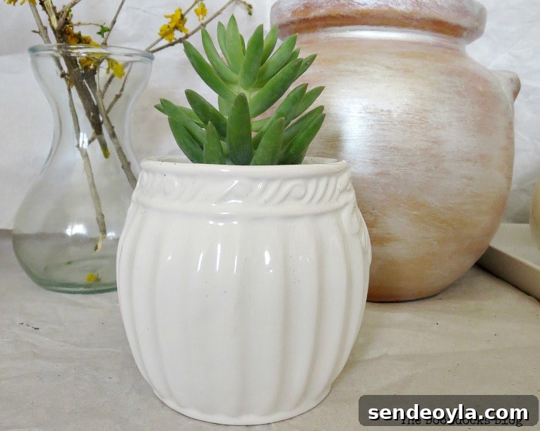 DIY Upcycled Planters from Household Items 8 Succulent planted in sugar bowl