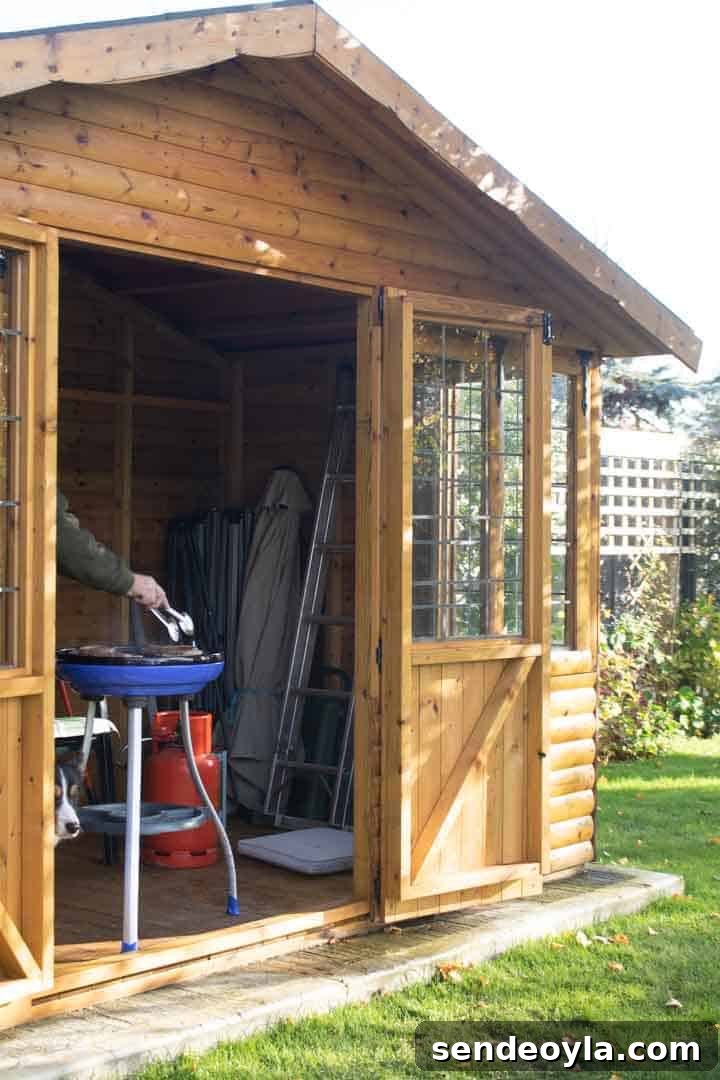 cooking sirloin steaks on the cadac in the Summer house for a Winter BBQ