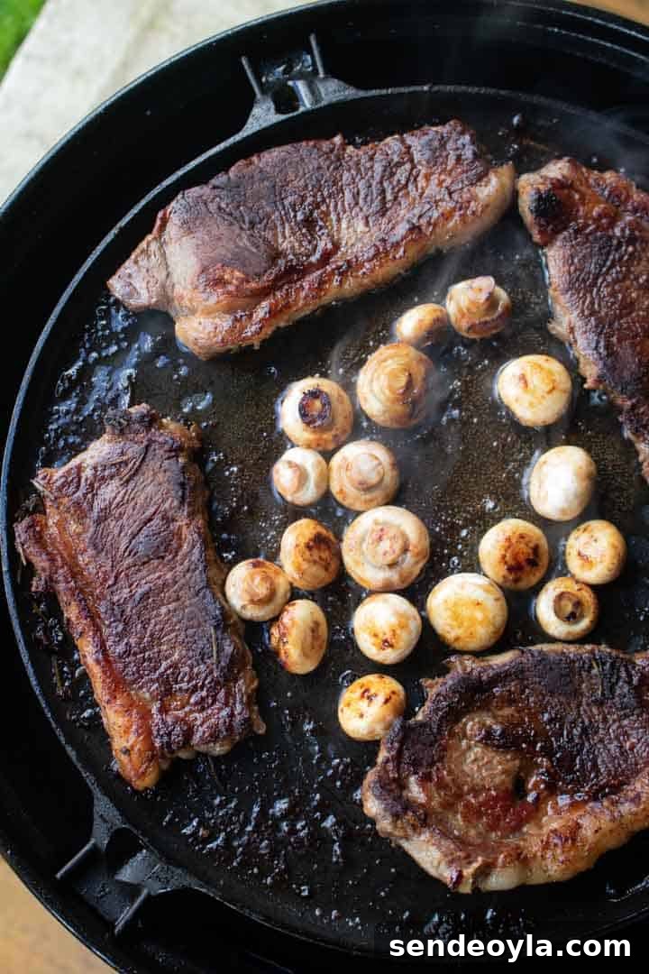 seared steaks with mushrooms on the Cadac
