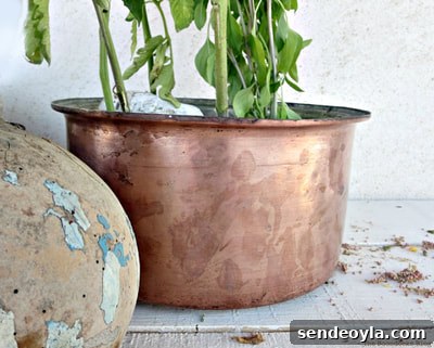 How to Look Like You Have a Green Thumb with a Planter Box 18 A copper pot repurposed as a planter