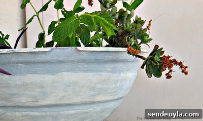 A grill repurposed as a planter box