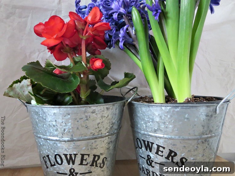 How to Look Like You Have a Green Thumb with a Planter Box 7 Real flowers placed in galvanized metal planter boxes