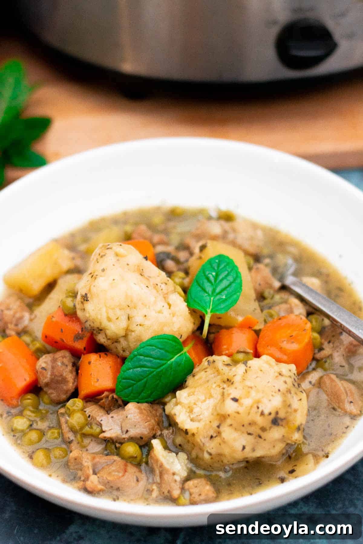 Slow Cooker Minted Lamb Stew with Dumplings 2 Slow cooked lamb stew with mint and dumplings