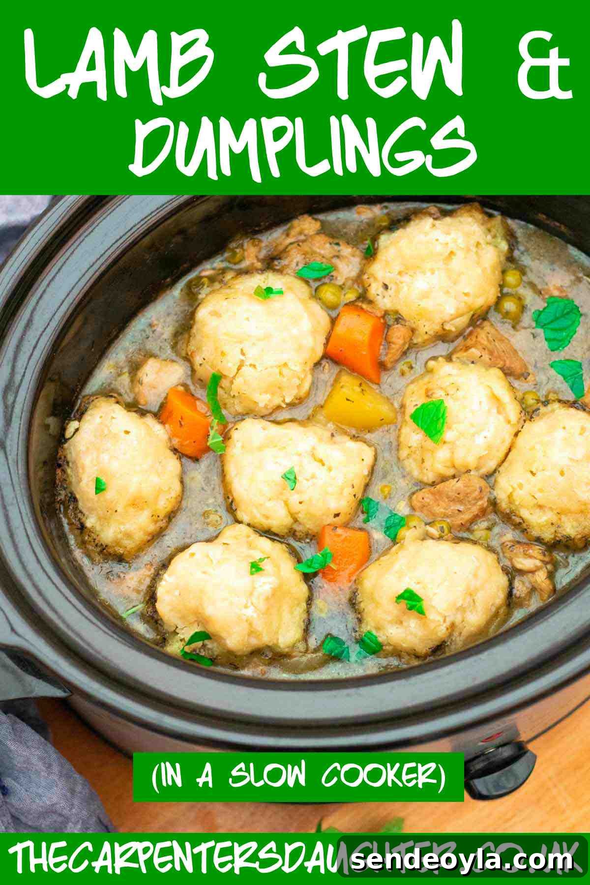 Slow Cooker Minted Lamb Stew with Dumplings 13 How to cook minted lamb stew and dumplings in a slow cooker.
