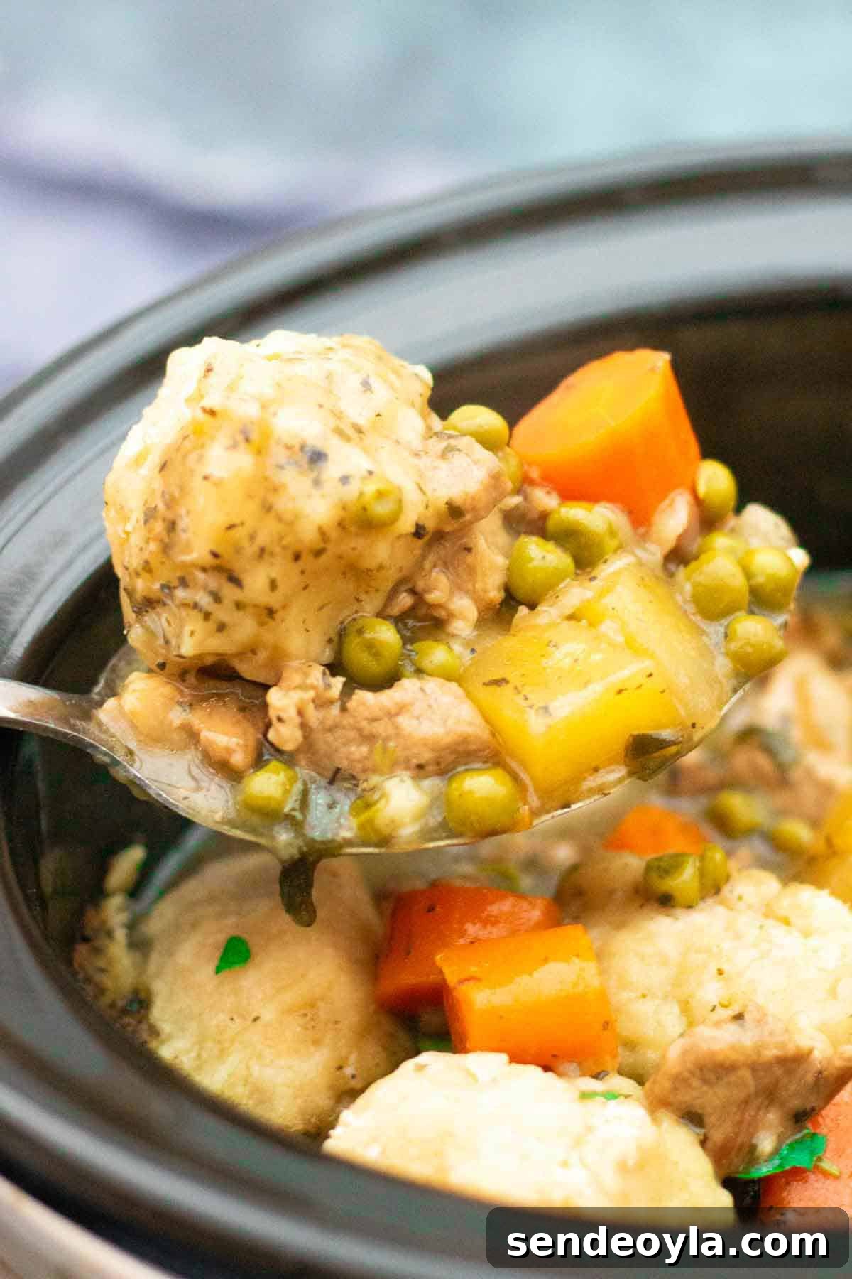 Slow Cooker Minted Lamb Stew with Dumplings 6 Ladle of lamb and mint stew