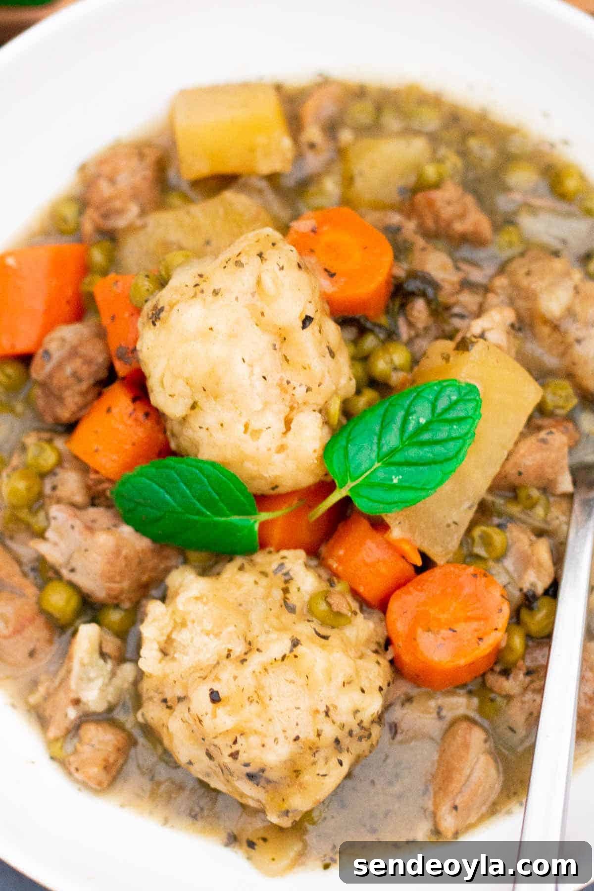 Slow Cooker Minted Lamb Stew with Dumplings 9 Close up of easy slow cooker lamb stew in a white bowl