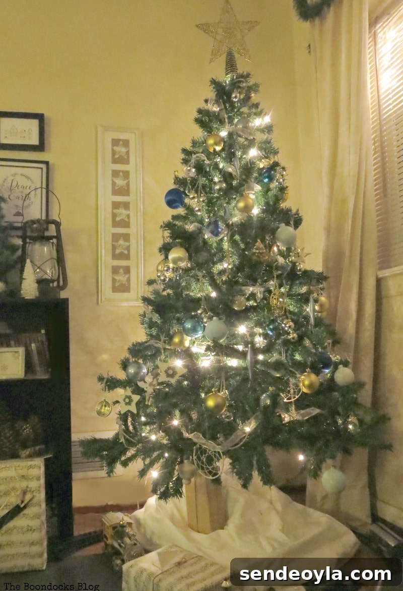 Night view of the Christmas tree
