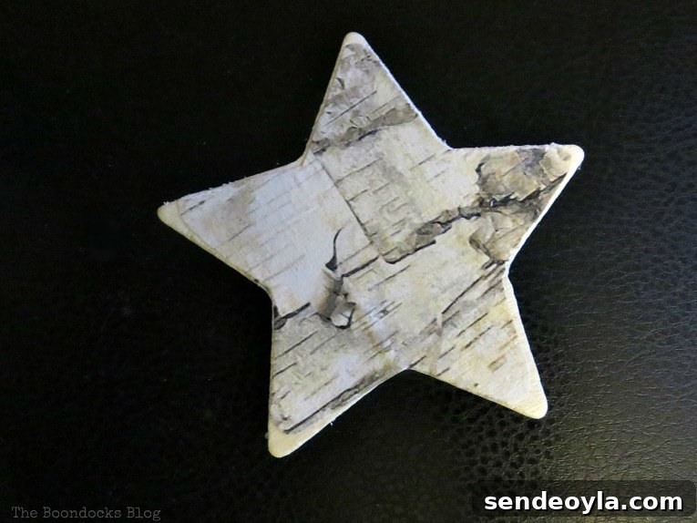 DIY Rustic Star Christmas Ornaments 5 Birch paper decoupaged onto star shape, How to Make Rustic Star Christmas Ornaments www.theboondocksblog.com