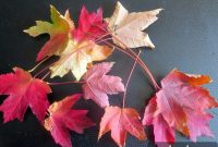 Cozy Fall Home Decor Ideas to Bring Autumn Indoors