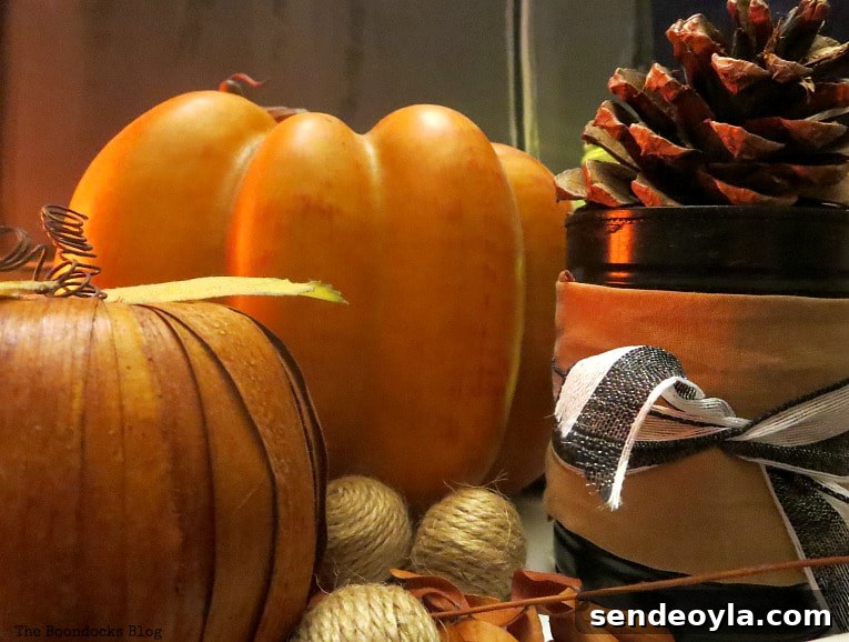 Pumpkins and pine cones in vignette