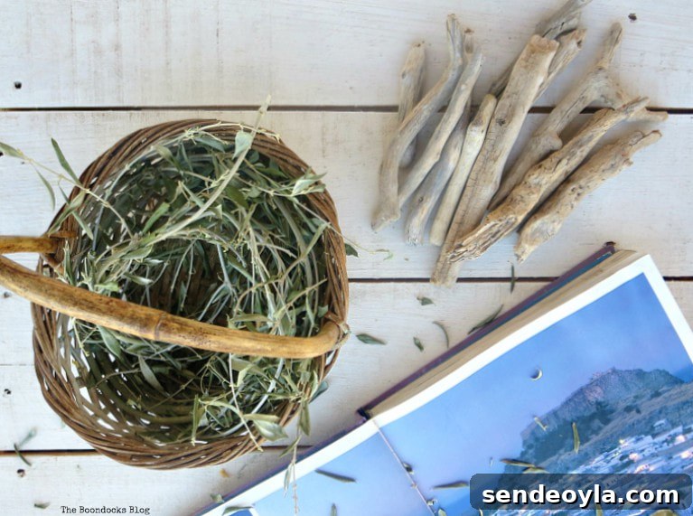 Olive branches and driftwood, What I Love Best about Greece