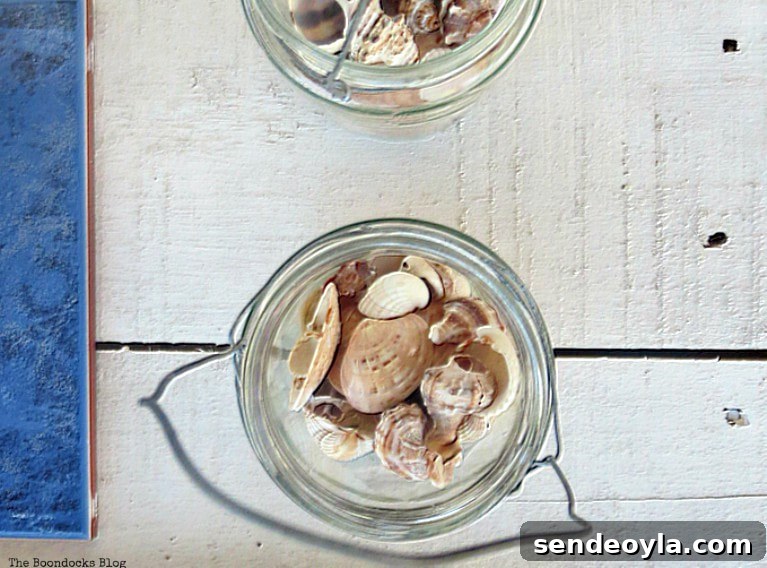 Sea shells, What I Love Best about Greece