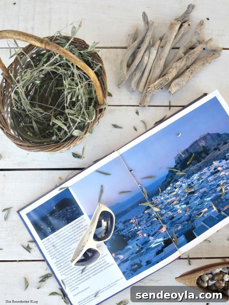 Olive branches, driftwood and book about Greece, What I Love Best about Greece