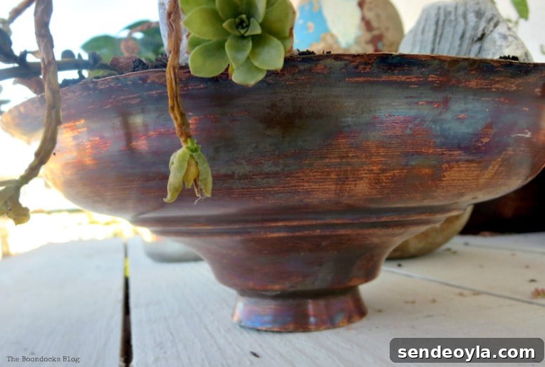 Upcycling Vintage Copper Pots: Mistakes to Avoid 7 Copper lid holding dying succulents.