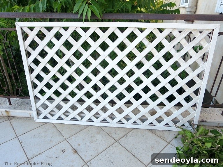 DIY Colorful Fence with Dollar Store Flowers 5 The painted lattice panel.