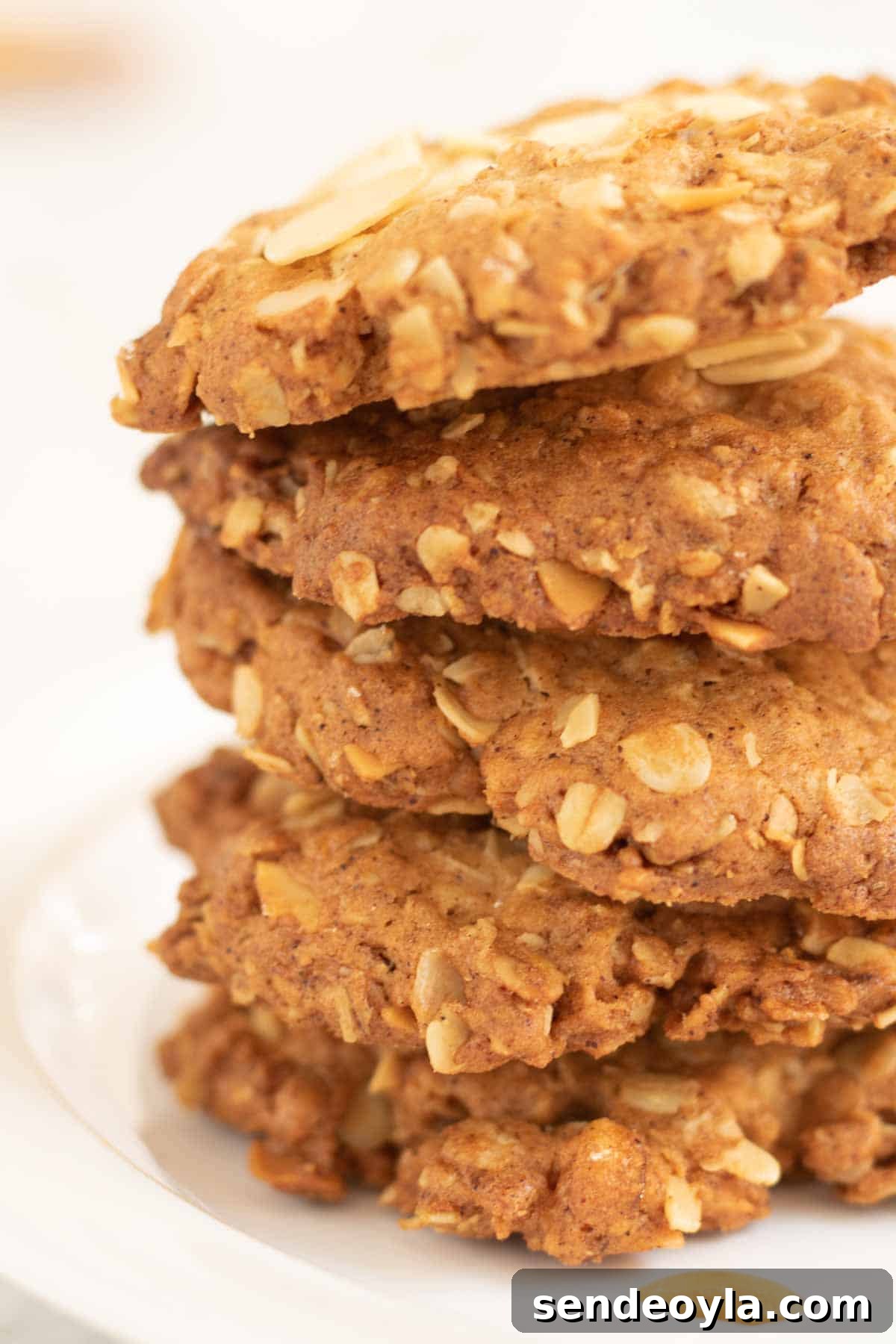 Classic Crunchy Anzac Biscuits Recipe 8 Close up of stacked oaty biscuits with almonds, mixed peel and ground mixed spice using leftover Christmas cake baking ingredients