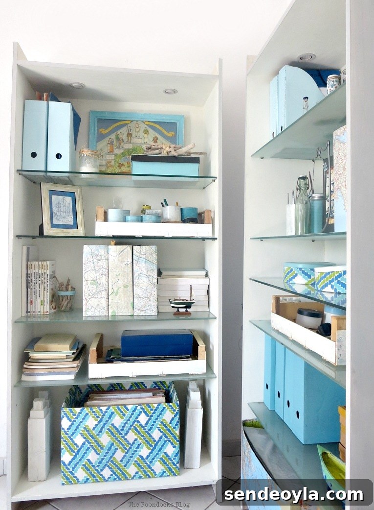 Two bookcases styled with blue colors, maps and pomegranate branches