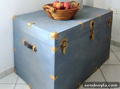 Stylish and Practical Bookcase Ideas: DIY Guide 20 Metal Trunk