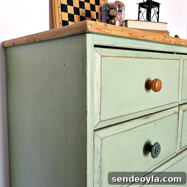 Avoid These Mistakes When Upcycling Bookcases 19 img 778 25