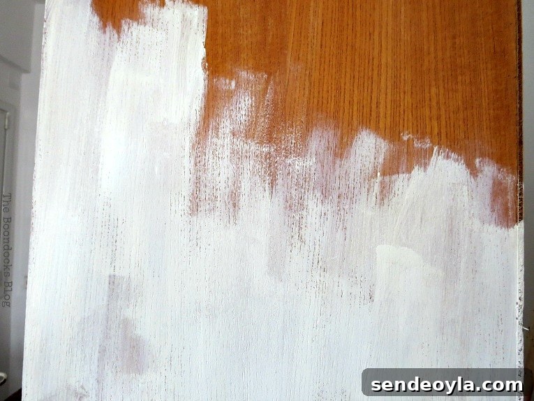 Avoid These Mistakes When Upcycling Bookcases 6 First coat of paint on the exterior of the upcycled bookcase.