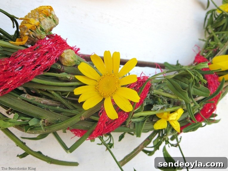Detail of yellow daisy