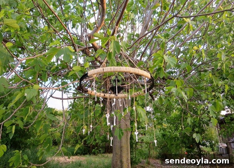 tire rim wind chime hanging on a fig tree, How to Re-purpose a tire rim into a Unique wind chime - Int'l Bloggers Club