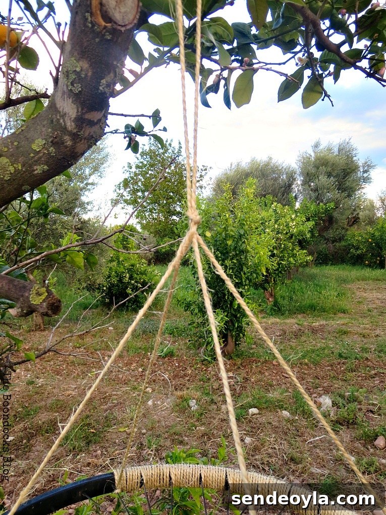The twine used for hanging the wind chime onto the tree, How to Re-purpose a tire rim into a Unique wind chime - Int'l Bloggers Club