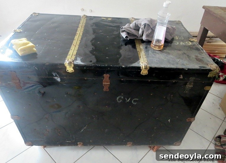 Trunk being cleaned with a vinegar and water solution.