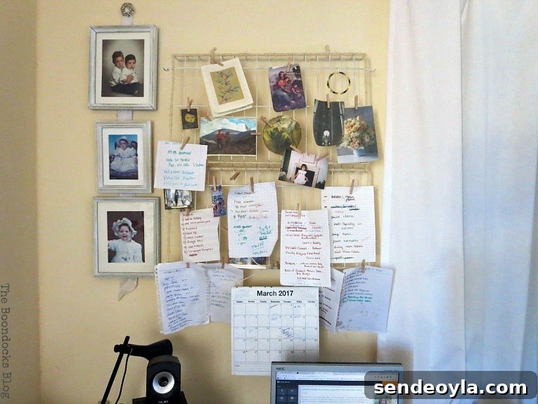 The wall organizer is a hit